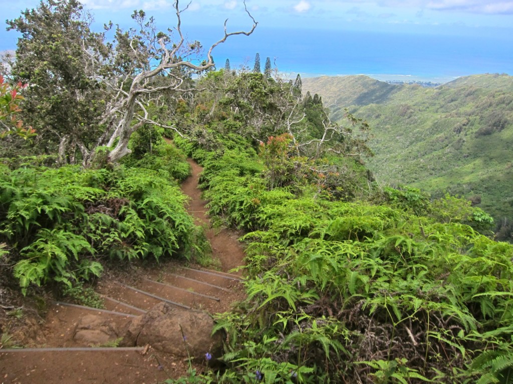 Kuli'ou'ou Valley Trail, Oahu, Hawaii | Intentional Travelers