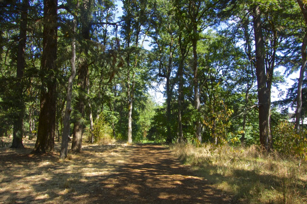 Bush Pasture Park, Salem, Oregon | Intentional Travelers