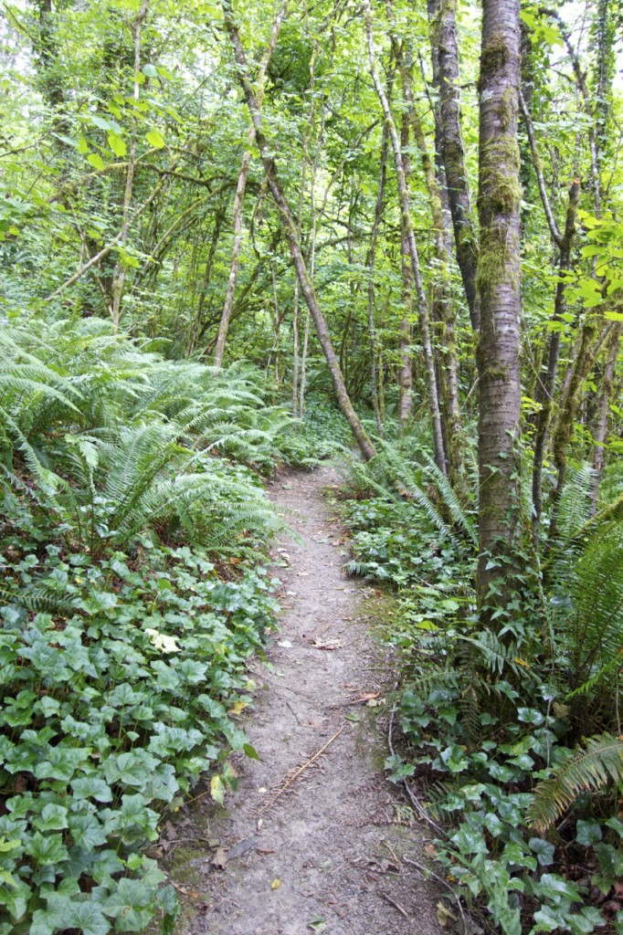 Croisan Scenic Trail, Routes to Walk or Run in Salem, Oregon | Intentional Travelers