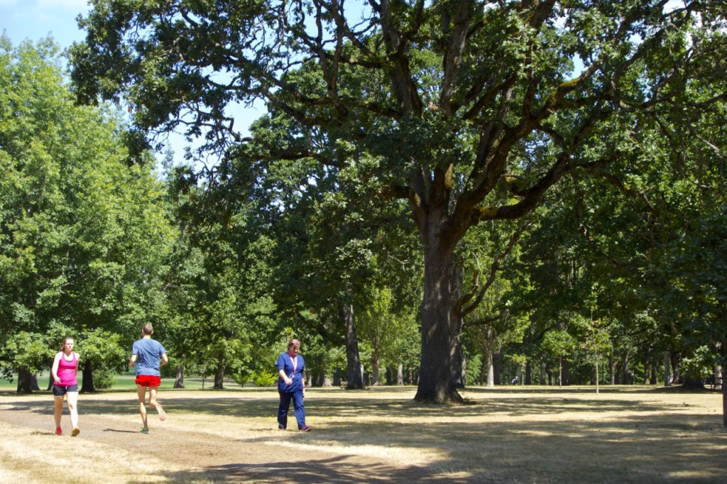 Bush Park, Routes to Walk or Run in Salem, Oregon | Intentional Travelers