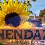 Nendaz, Switzerland | Intentional Travelers