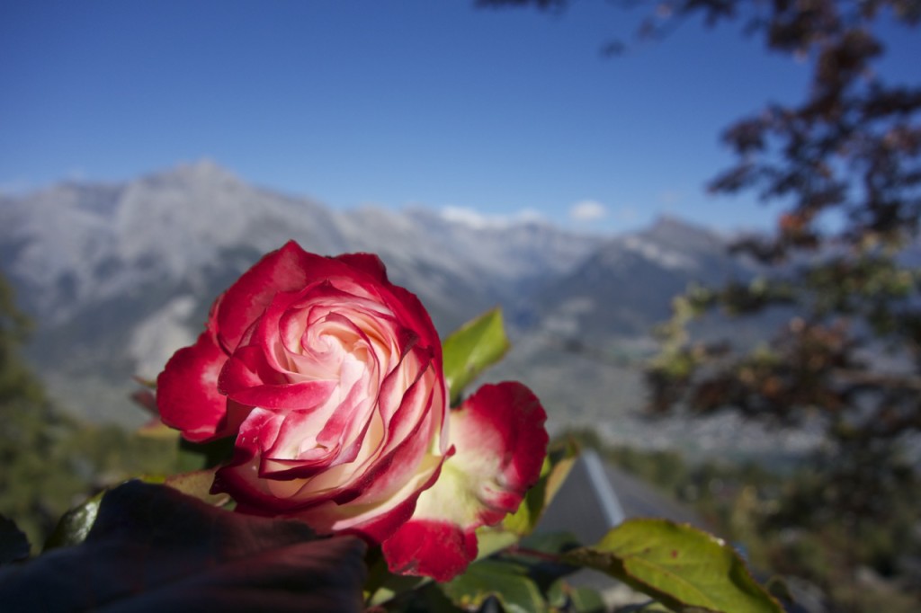 Nendaz geocaching and hiking, Switzerland | Intentional Travelers