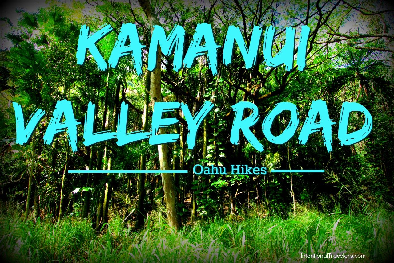 Kamananui Valley Road Hike – Oahu