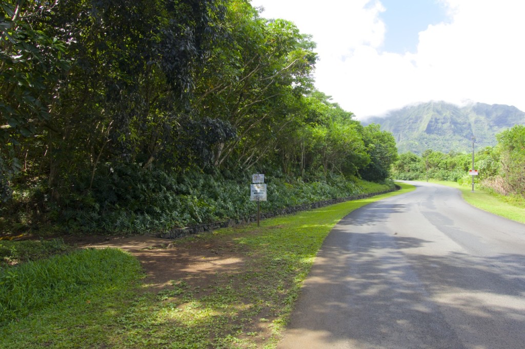 Olomana Hike - Oahu, Hawaii | Intentional Travelers