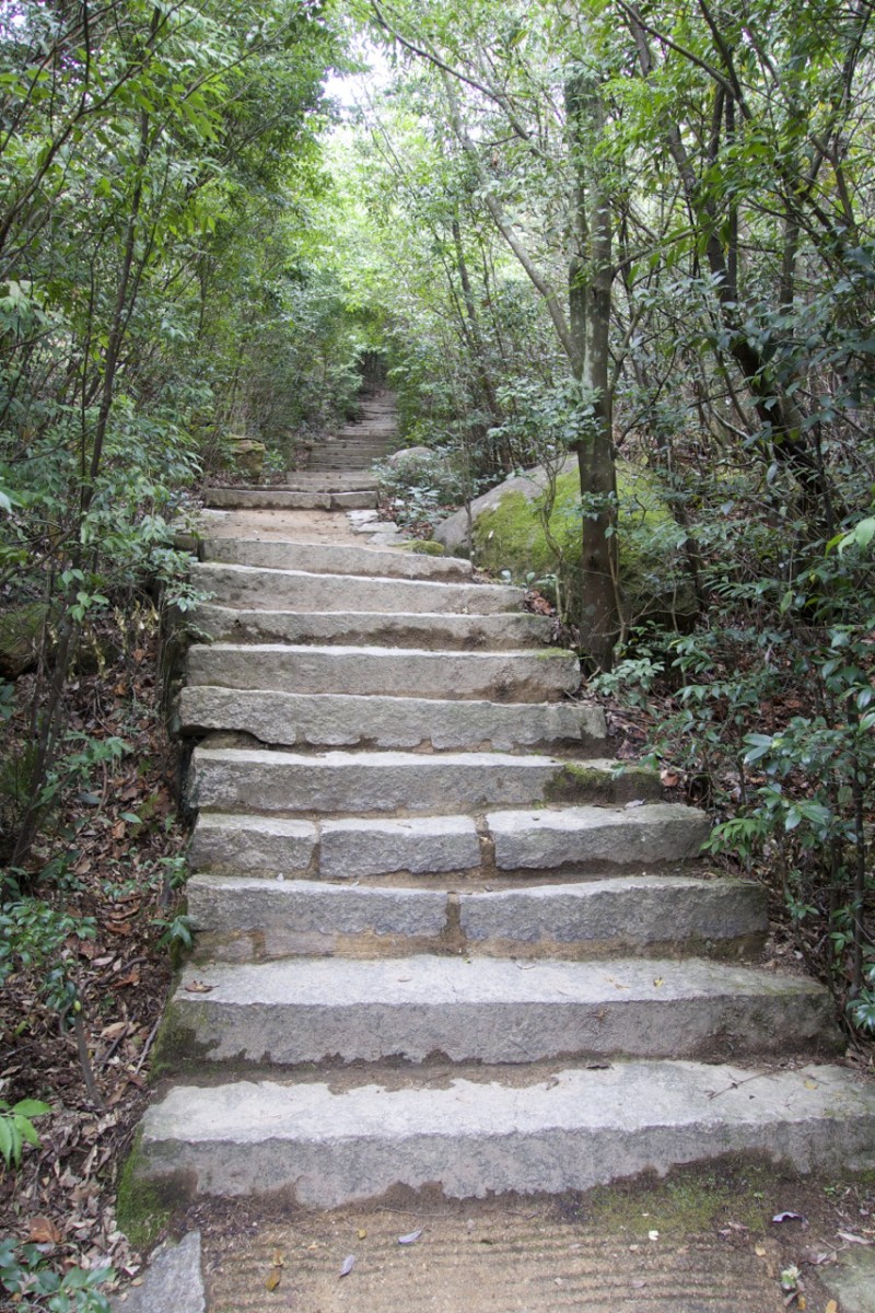 Miyajima steps, Things to Do Around Iwakuni, Japan | Intentional Travelers