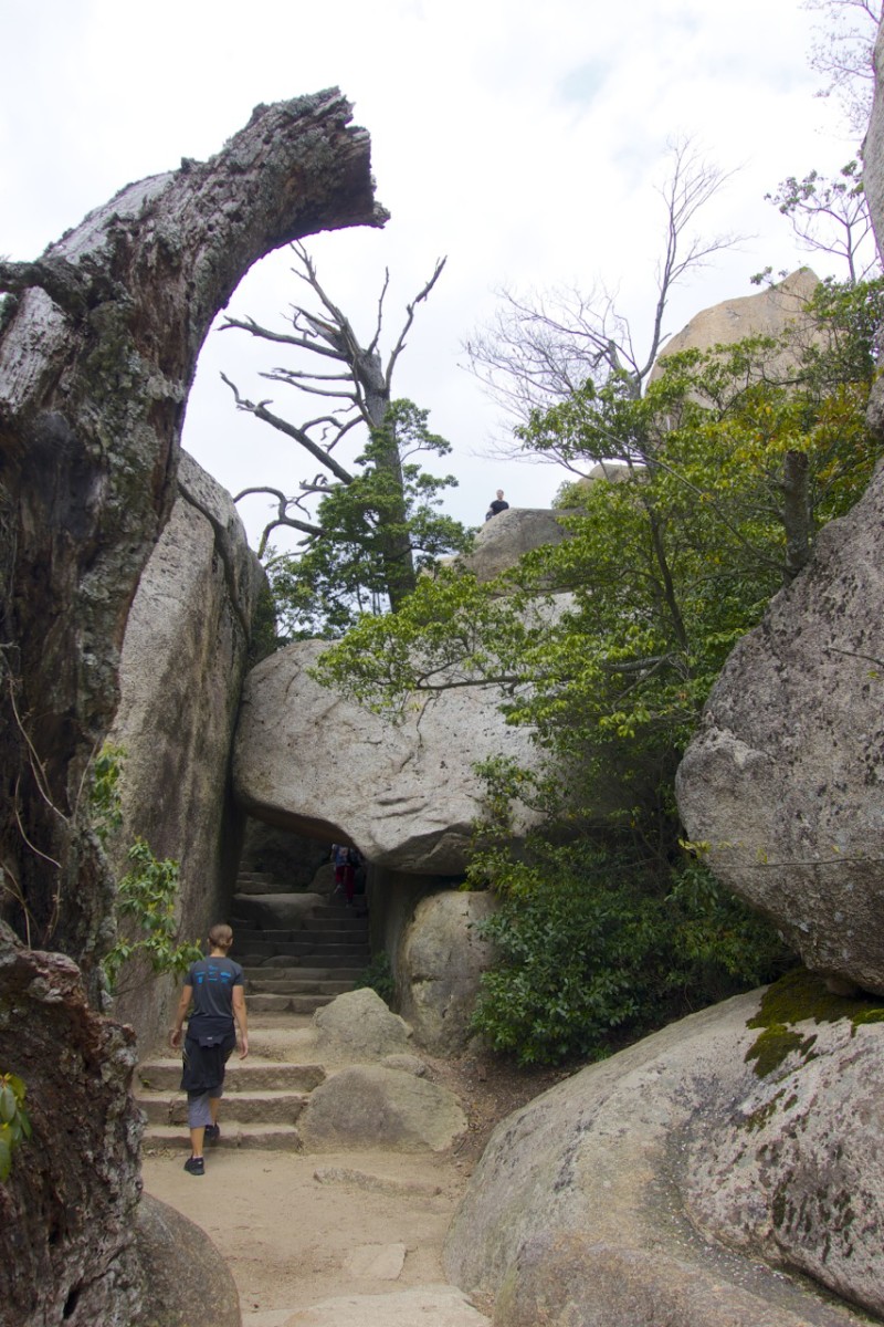 Miyajima Mt Misen hike, Things to Do Around Iwakuni, Japan | Intentional Travelers