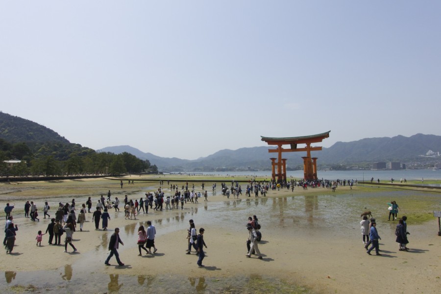 Miyajima, Things to Do Around Iwakuni, Japan | Intentional Travelers