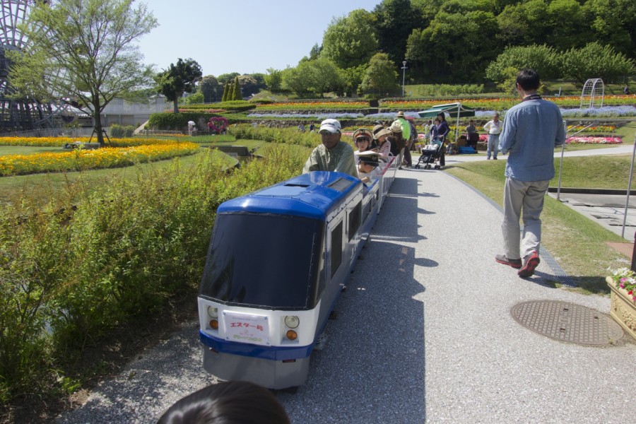 Yamai Yamaguchi Flower Land, Things to Do Around Iwakuni, Japan | Intentional Travelers