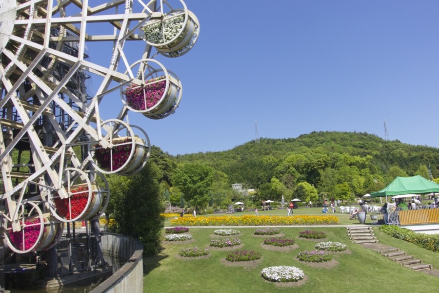 Yamai Yamaguchi Flower Land, Things to Do Around Iwakuni, Japan | Intentional Travelers