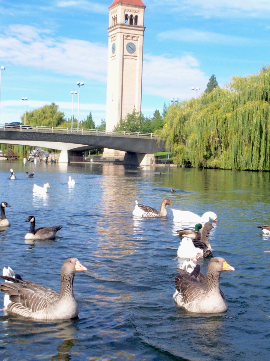 A College Student's Guide to Spokane, Washington | Intentional Travelers