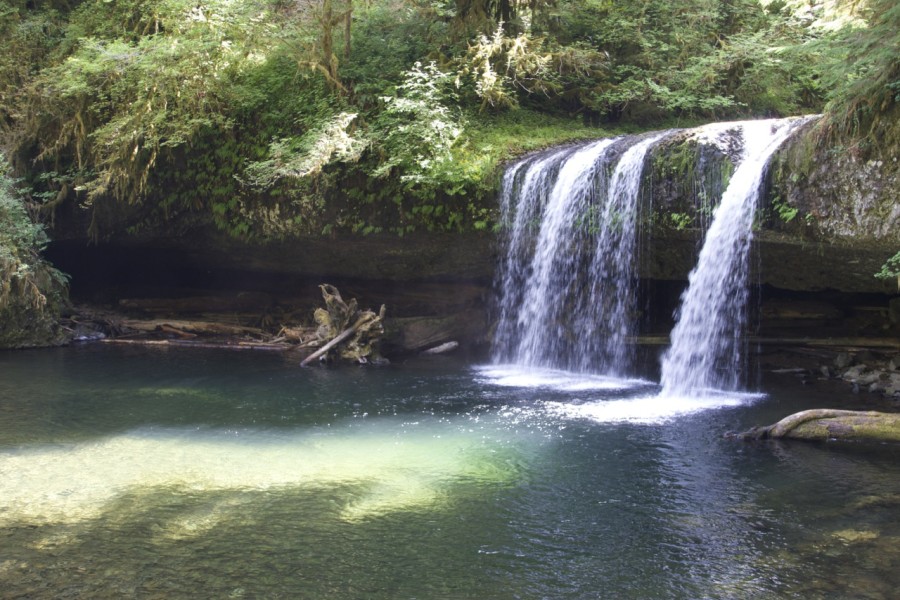 Butte Creek Falls, Silverton Oregon Staycation | Intentional Travelers