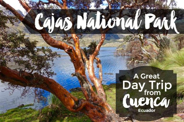 Cajas National Park: A Great Day Trip from Cuenca, Ecuador