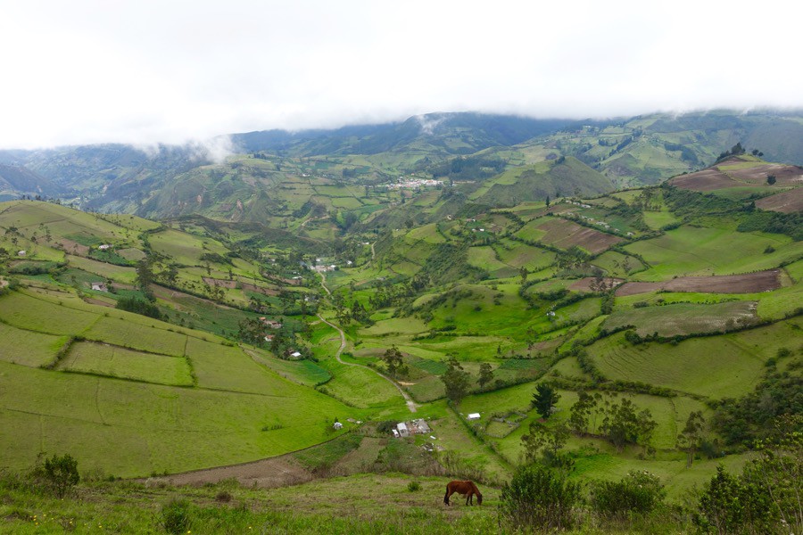 Hiking | Llullu Llama Hostel in Beautiful Isinliví, Ecuador | Intentional Travelers