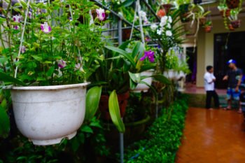 Leaf Homestay - What to See, Do, and Eat in Hoi An, Vietnam on a Budget | Intentional Travelers