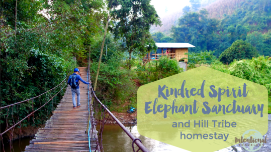 Kindred Spirit Elephant Sanctuary and Hilltribe Homestay | Intentional Travelers