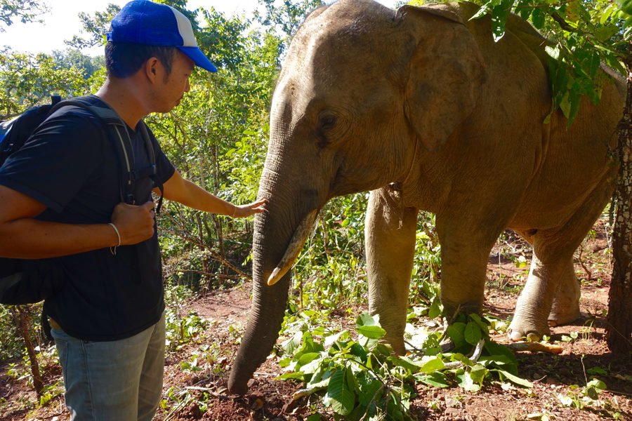Kindred Spirit Elephant Sanctuary and Hilltribe Homestay | Intentional Travelers