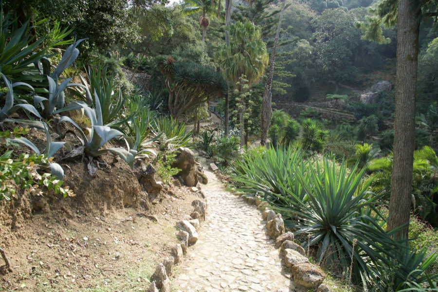 Hiking trail in Sintra