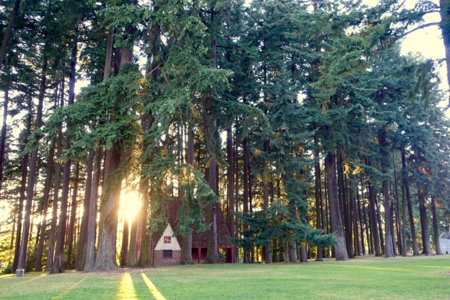 Sellwood Park, Portland Oregon