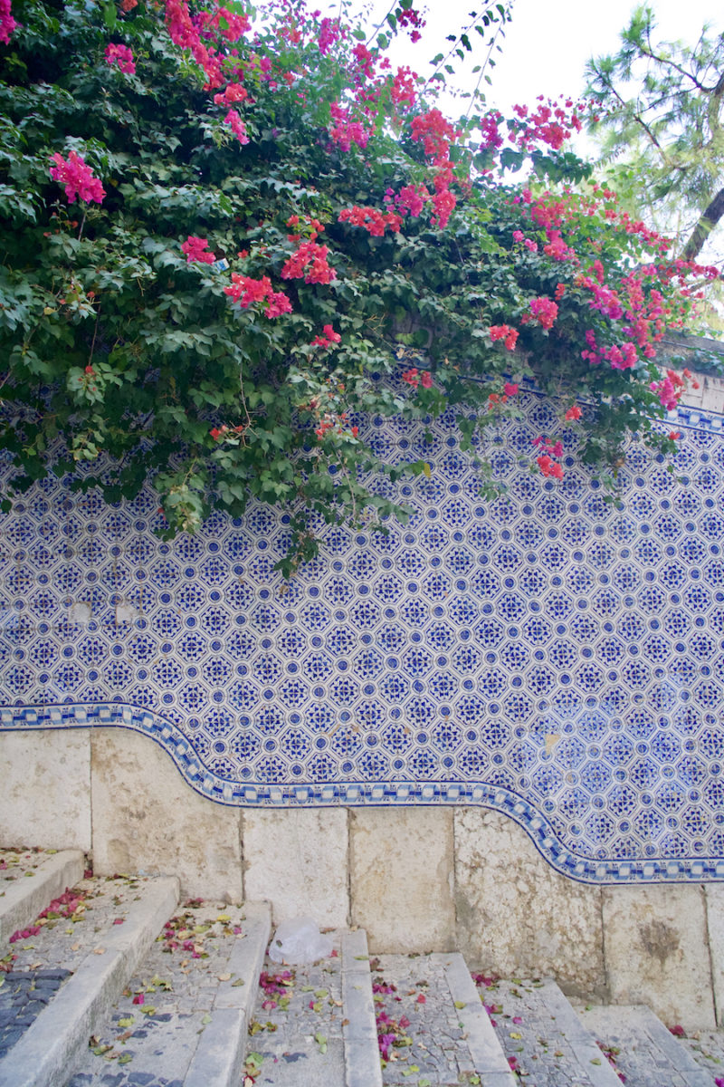 Tiles - Best Things to See in Lisbon on a Budget | Intentional Travelers