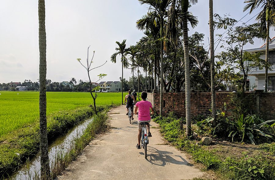 Biking through rice paddies - Hoi An itinerary: 3 days plus self guided walking tour map | Intentional Travelers