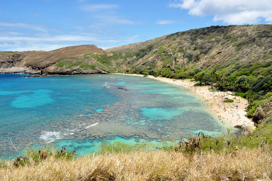 Hana'uma Bay snorkeling | Oahu itinerary 7 days