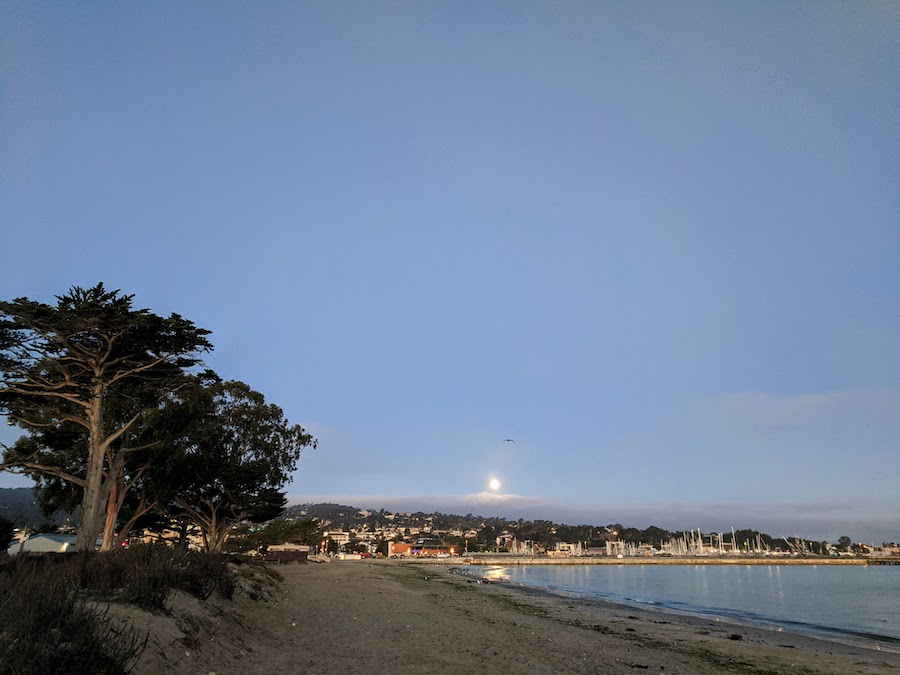 Monterey beach