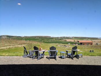Oregon Vineyard Willamette Valley Landscape