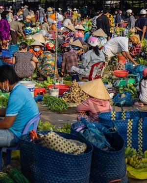 vietnam travel requirements 2023