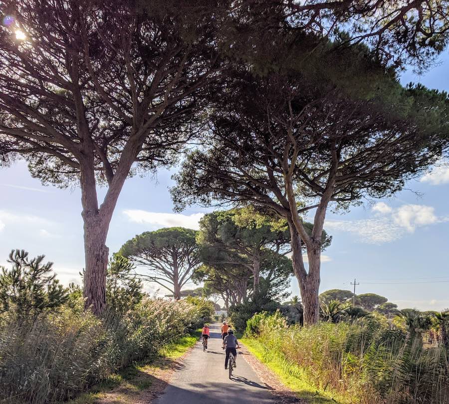 cycling to the beach in Tuscany