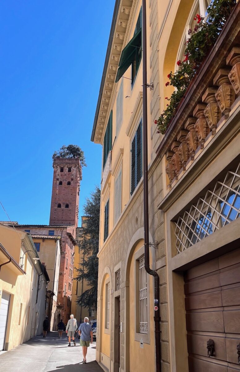 Guinigi Tower with tree on top seen from the alley below