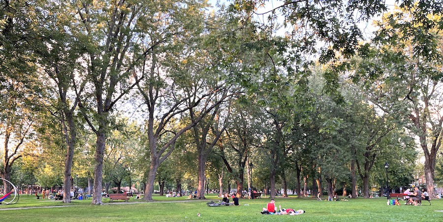 busy Montreal park with picnics under large trees