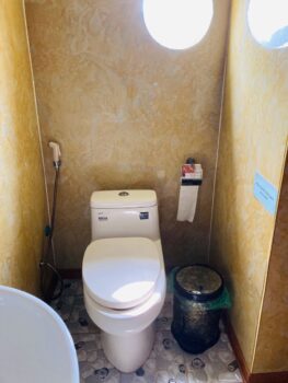 Venezia cruise Lan Ha Bay bathroom toilet mismatched