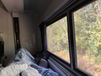 view from roomette sleeper car lower bunk with woods out the window