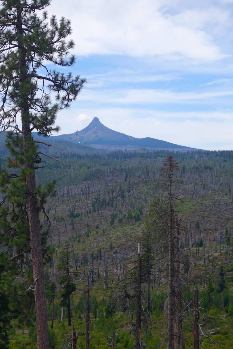 Mount Washington viewpoint scenic lookout - Central Oregon Road Trip Stops