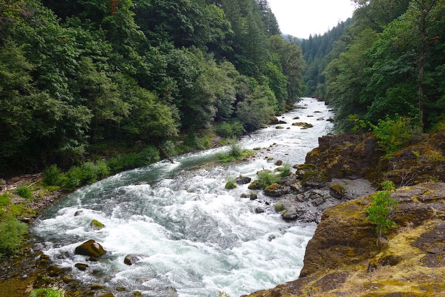 Niagara Park river- Central Oregon Road Trip Stops