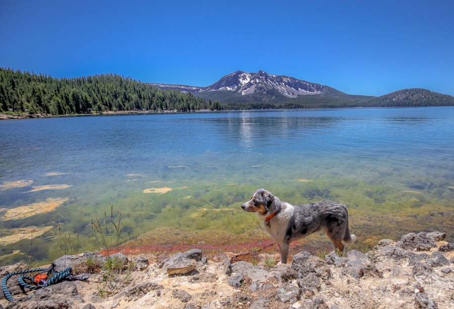 Hiking along Paulina Lake shoreline in Central Oregon